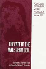 The Fate of the Male Germ Cell: Evolving Biological Concepts and Therapeutic Approaches