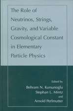 The Role of Neutrinos, Strings, Gravity, and Variable Cosmological Constant in Elementary Particle Physics
