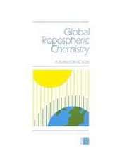 Global Tropospheric Chemistry