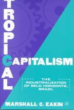 Tropical Capitalism: The Industrialization of Belo Horizonte, Brazil, 1897-1997