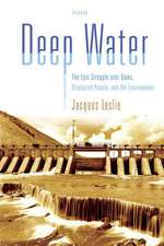 Deep Water: The Epic Struggle Over Dams, Displaced People, and the Environment