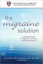 The Migraine Solution: A Guide to Physical and Emotional Recovery After Injury or Illness