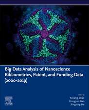 Big Data Analysis of Nanoscience Bibliometrics, Patent, and Funding Data (2000-2019)