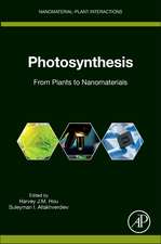 Photosynthesis: From Plants to Nanomaterials