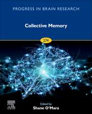 Collective Memory