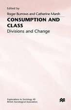 Consumption Class Division