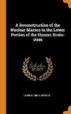 A Reconstruction of the Nuclear Masses in the Lower Portion of the Human Brain-stem