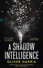 A Shadow Intelligence