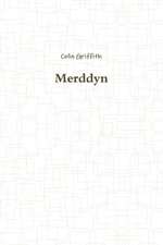 Merddyn