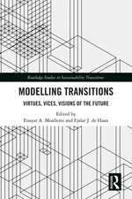 Modelling Transitions: Virtues, Vices, Visions of the Future