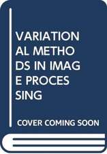 VESE, L: VARIATIONAL METHODS IN IMAGE PROCESSING