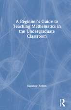 A Beginner's Guide to Teaching Mathematics in the Undergraduate Classroom