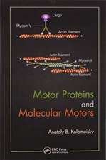 Motor Proteins and Molecular Motors