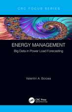 Energy Management: Big Data in Power Load Forecasting