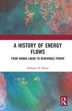 A History of Energy Flows: From Human Labor to Renewable Power