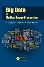 Big Data in Medical Image Processing