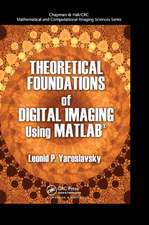 Theoretical Foundations of Digital Imaging Using MATLAB�