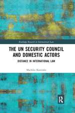 The UN Security Council and Domestic Actors: Distance in international law