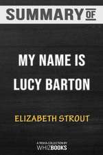 Summary of My Name Is Lucy Barton