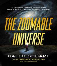 The Zoomable Universe