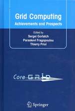 Grid Computing: Achievements and Prospects