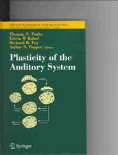 Plasticity of the Auditory System