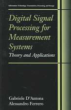 Digital Signal Processing for Measurement Systems: Theory and Applications