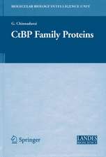 CtBP Family Proteins