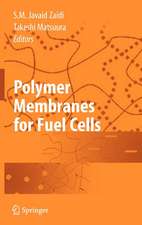 Polymer Membranes for Fuel Cells