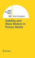 Stability and Wave Motion in Porous Media