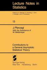 Contributions to a General Asymptotic Statistical Theory