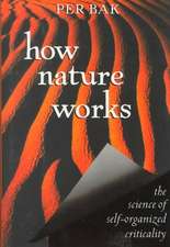 How Nature Works: the science of self-organized criticality