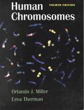 Human Chromosomes