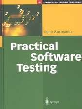 Practical Software Testing: A Process-Oriented Approach