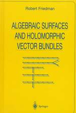 Algebraic Surfaces and Holomorphic Vector Bundles