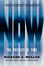 Now – The Physics of Time