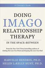 Doing Imago Relationship Therapy in the Space–Be – A Clinician`s Guide