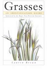 Grasses: An Identification Guide