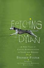 Fetching Dylan: A True Tale of Canine Domestication in Leaps and Bounds