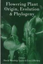 Flowering Plant Origin, Evolution & Phylogeny