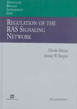 Regulation of the RAS Signalling Network