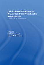 Child Safety: Problem and Prevention from Pre-School to Adolescence: A Handbook for Professionals