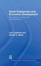 Small Enterprises and Economic Development: The Dynamics of Micro and Small Enterprises