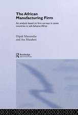 The African Manufacturing Firm: An Analysis Based on Firm Studies in Sub-Saharan Africa