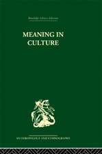 Meaning in Culture