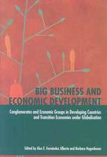 Big Business and Economic Development: Conglomerates and Economic Groups in Developing Countries and Transition Economies under Globalisation