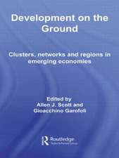 Development on the Ground: Clusters, Networks and Regions in Emerging Economies