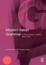 Modern Italian Grammar