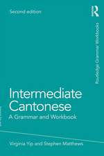 Intermediate Cantonese: A Grammar and Workbook