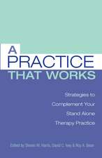 A Practice that Works: Strategies to Complement Your Stand Alone Therapy Practice